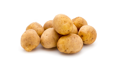 Potato Cold Storage Room