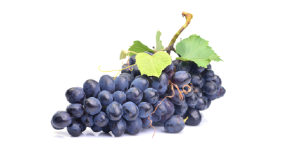 Entrepôt Frigorifique de Raisin