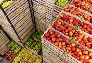 Atmosfer Kontrollü Soğuk Hava Deposu