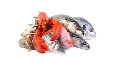 Poissons Et Fruits De Mer Entreposage Froid