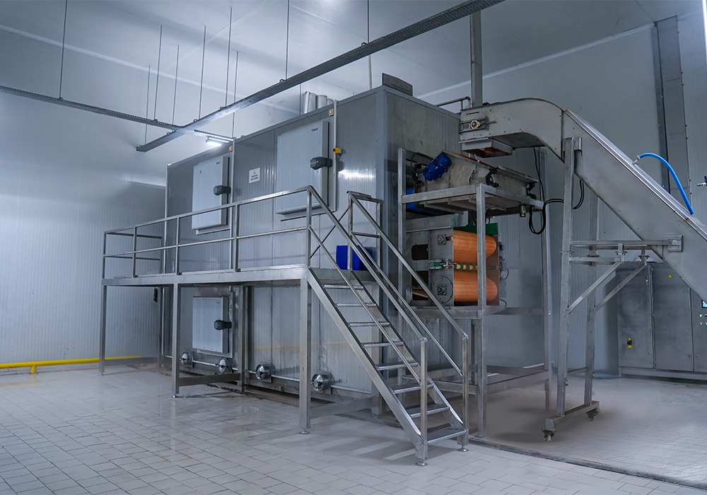 IQF (Individual Quick Freezing)